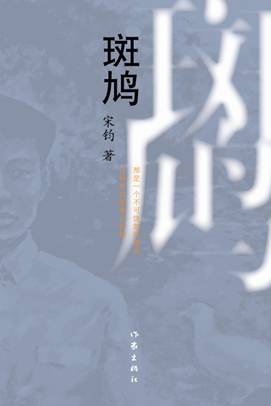 《斑鸠：一个北方乡村青年的忏悔录》封面