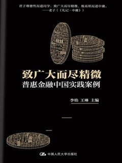 《致广大而尽精微：普惠金融中国实践案例》封面
